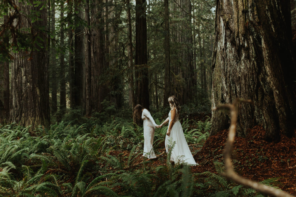 redwoods engagement