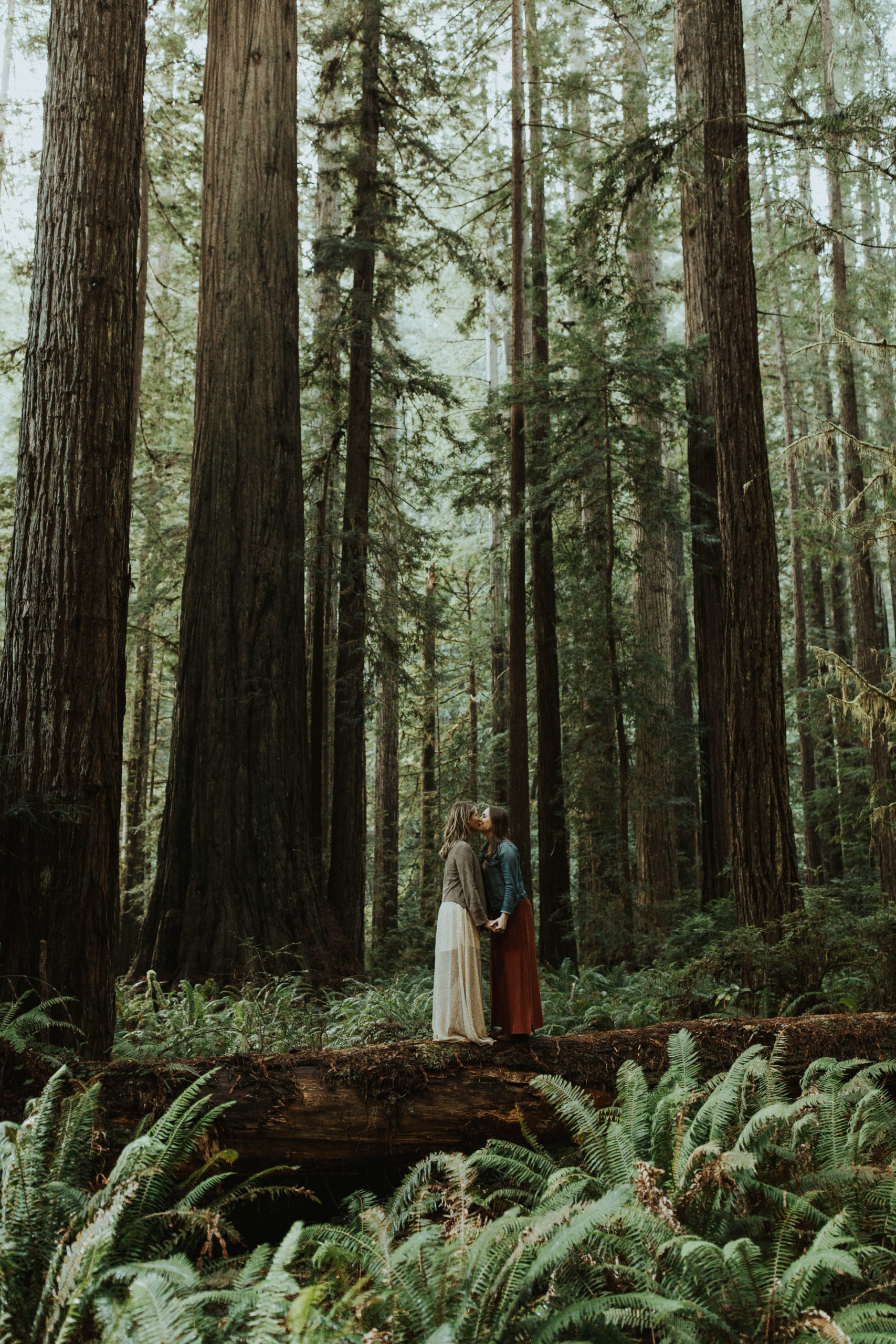 Two fiances holding hands in the redwoods at engagement session in Norcal