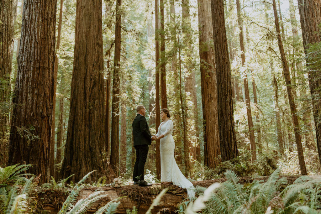 Intimate Elopement in the California Redwoods