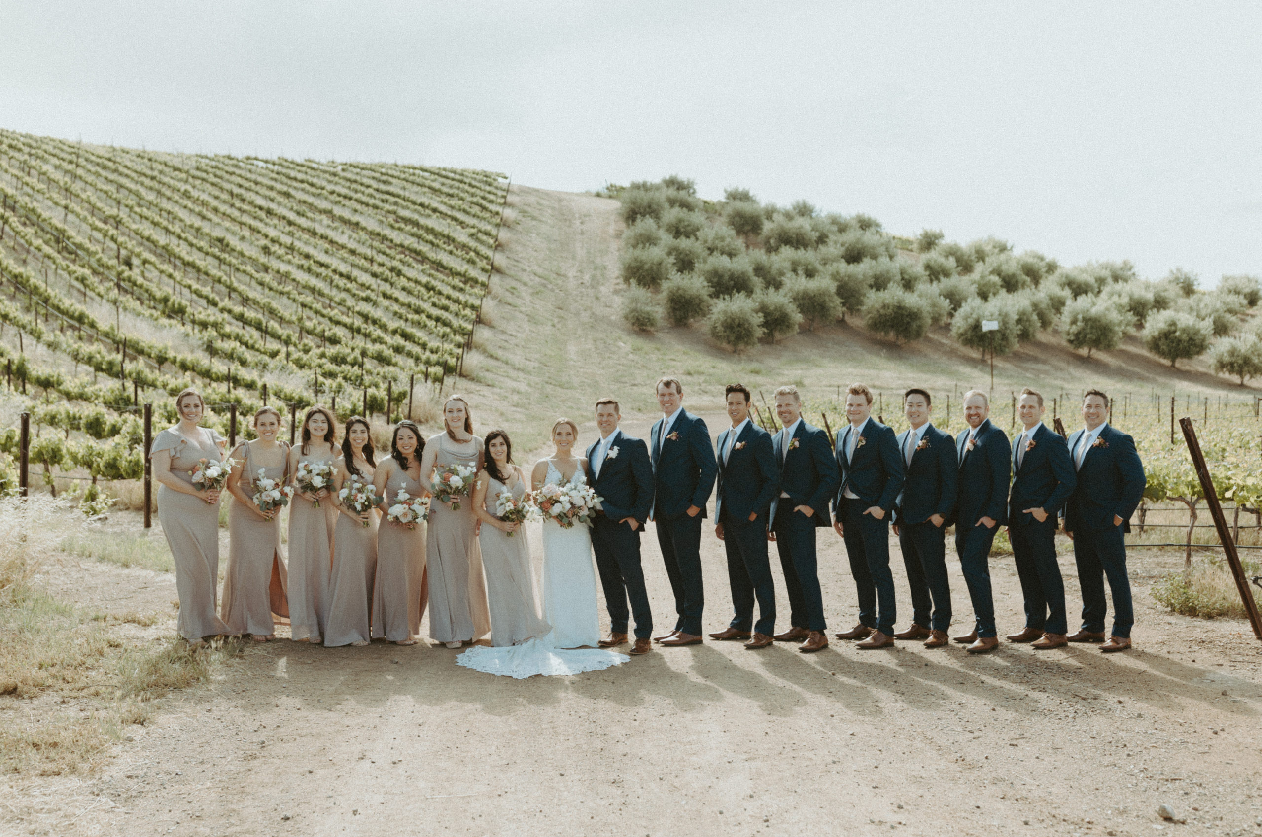 the bridal party photos in the vineyard in California