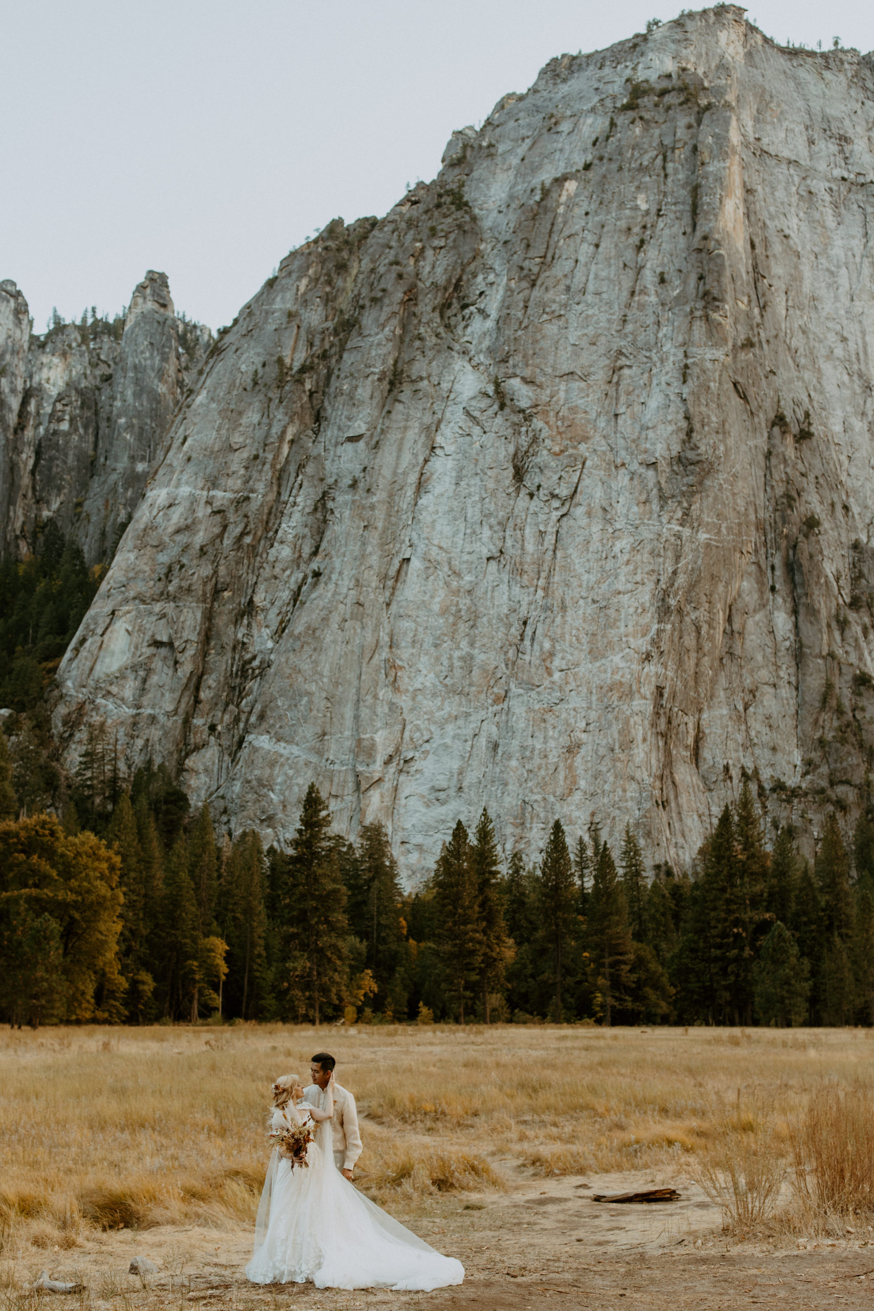 the couple at the bottom of the Yosemite Valley