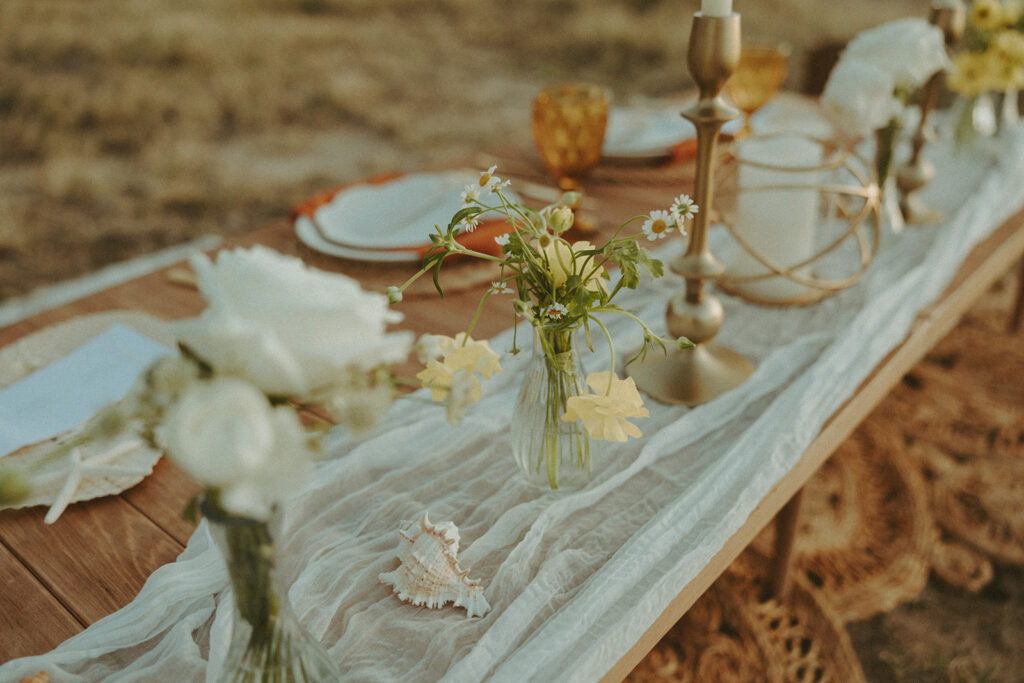 picnic elopement table decor