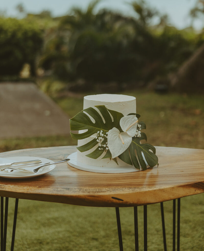 a hawaii destination wedding
