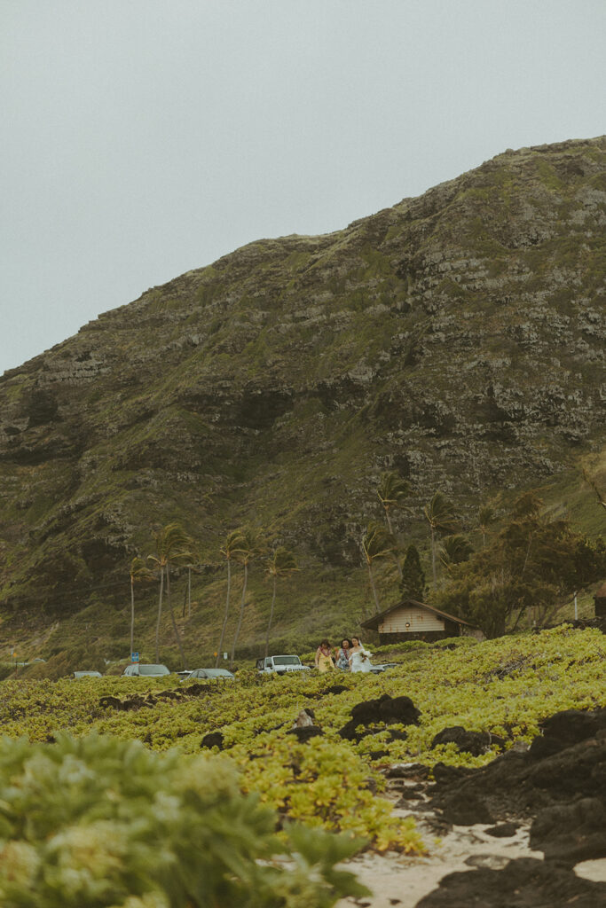Family and friends celebrating during the Hawaii elopement
